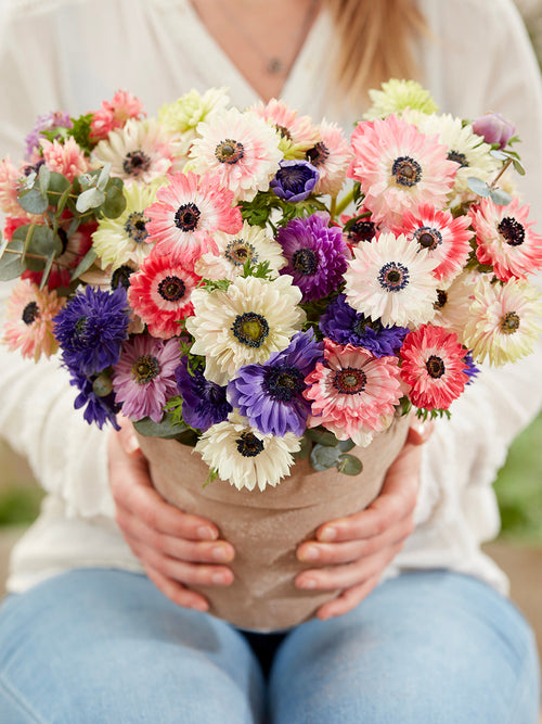 Anemone Fullstar Mix for Europe Shipping
