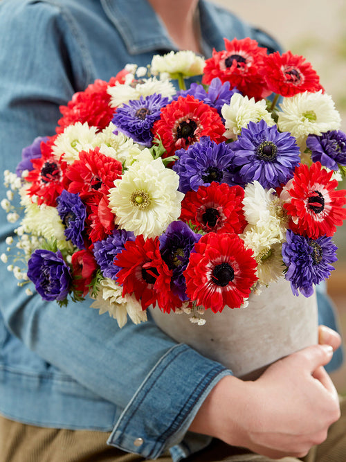 Anemone Stars and Stripes Collection, delivery to Europe