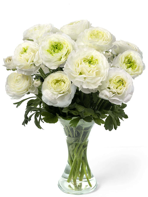 Layered Montenvers® flowers on strong stems