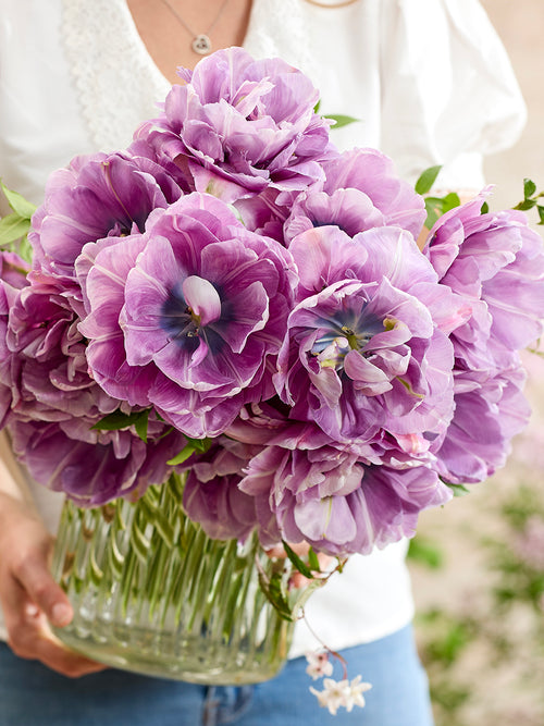 Blue Tulip Dancing Passion