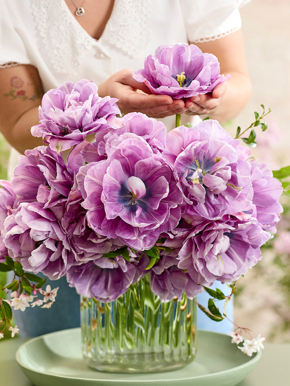 Blue Tulip Dancing Passion