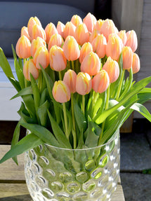 Tulip Mango Charm®