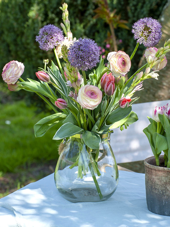 Allium Gladiator in vase