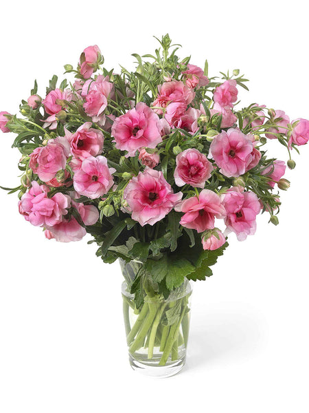 ranunculus様 リクエスト 2点 まとめ商品 Ranunculus 2nd Anniversary」グッズを2024年3月16日(土)18時