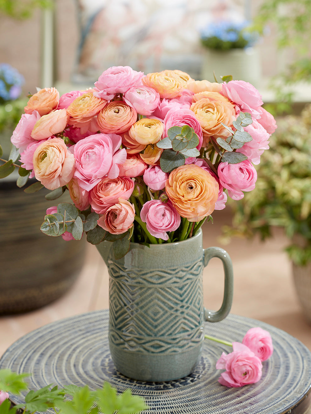 Pauline Ranunculus Ranunculus Pauline Pastel | DutchGrown™ Europe