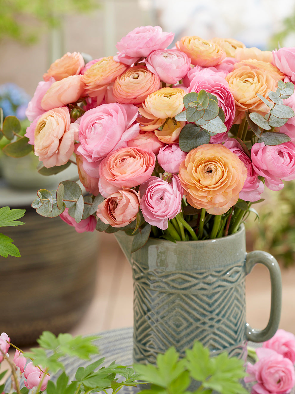 Pauline Ranunculus Ranunculus Pauline Pastel | DutchGrown™ Europe