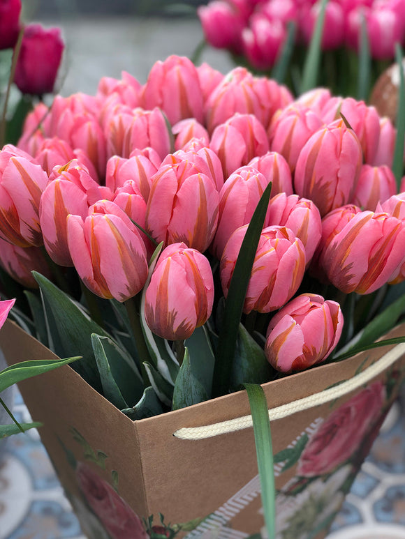Tulip Bulbs Pretty Princess Pink Spring Bulbs UK Delivery